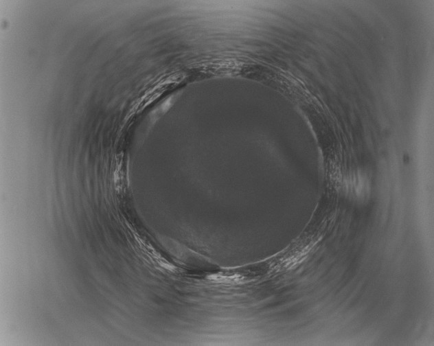 X0000068300818200604211135