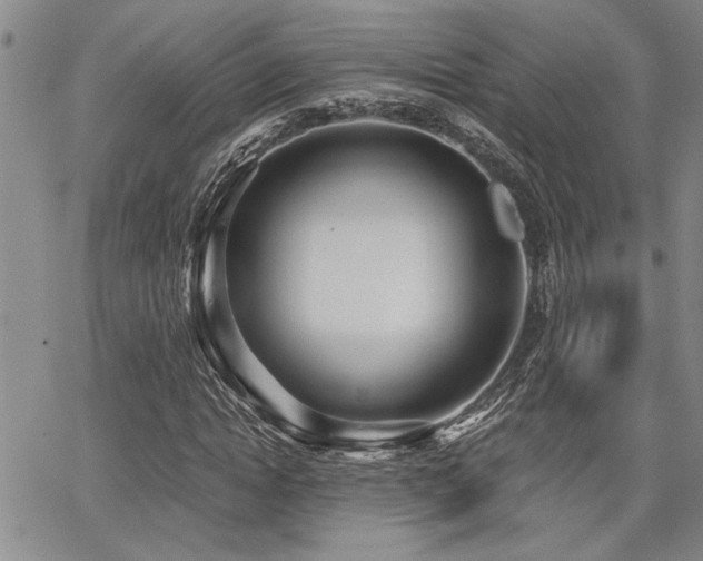 X0000068300822200604211136
