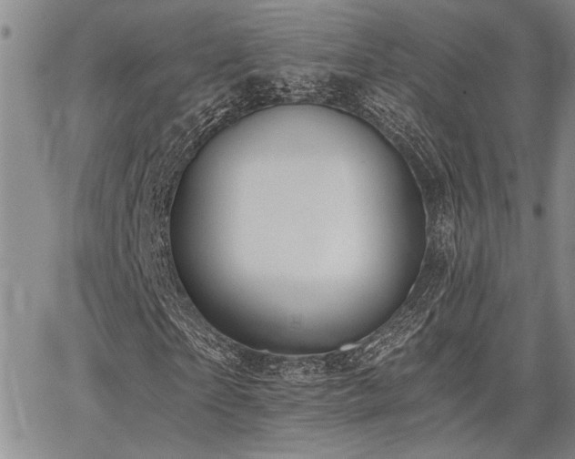 X0000068300865200604211135