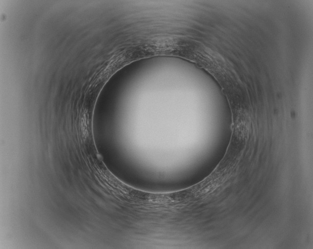 X0000068300866200604211135