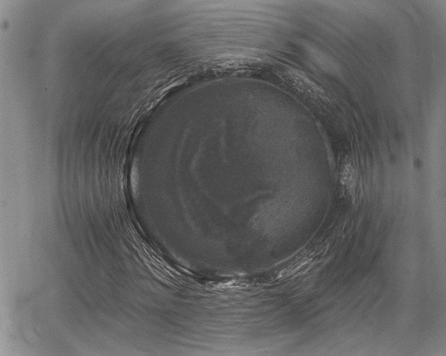 X0000068300868200604211135