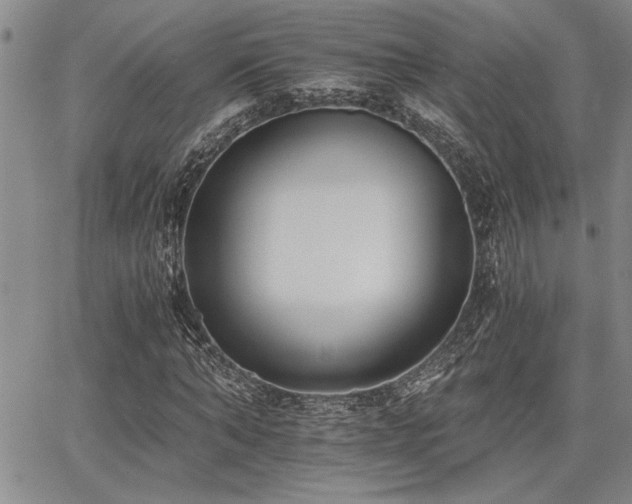 X0000068300870200604211135
