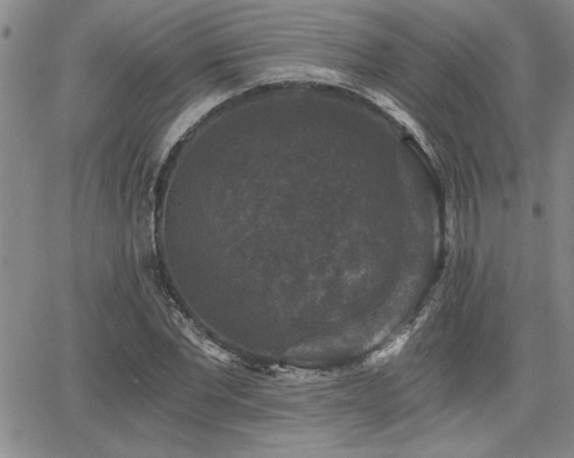 X0000068300877200604211135