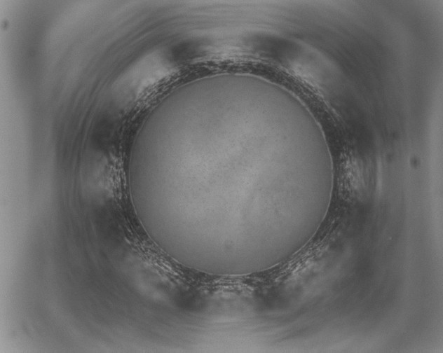 X0000068300918200604211134