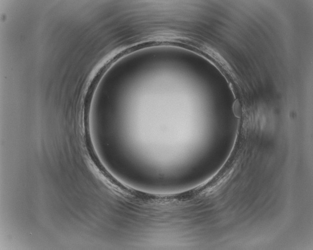 X0000068300939200604211134