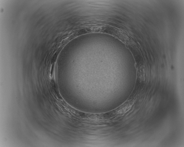 X0000068300962200604211134