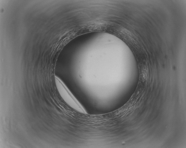 X0000068300964200604211134