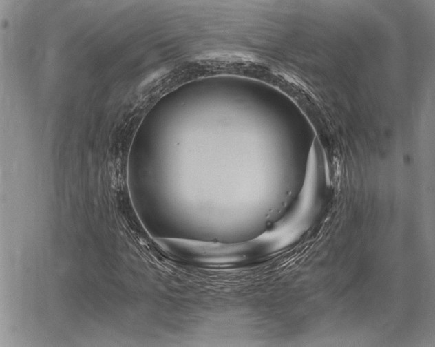 X0000068300965200604211134
