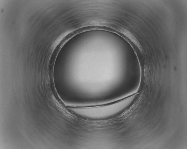 X0000068300972200604211134