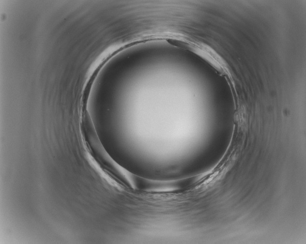 X0000068301005200604211133