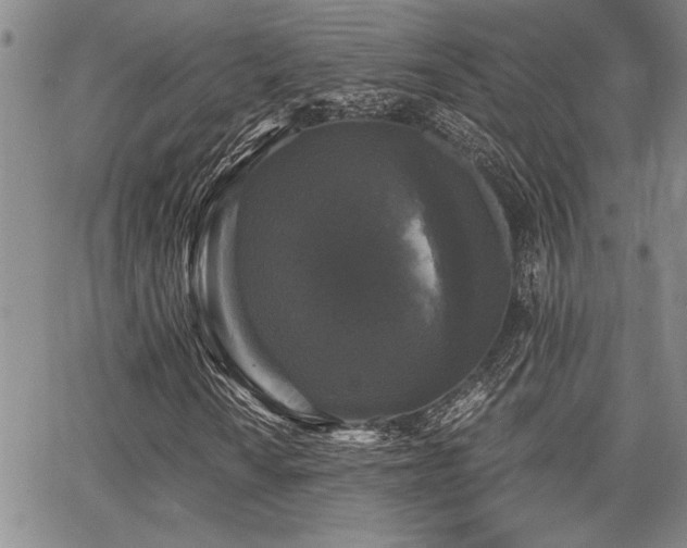 X0000068301010200604211132