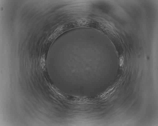 X0000068301011200604211132
