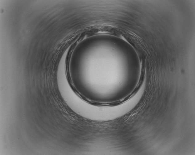X0000068301014200604211132