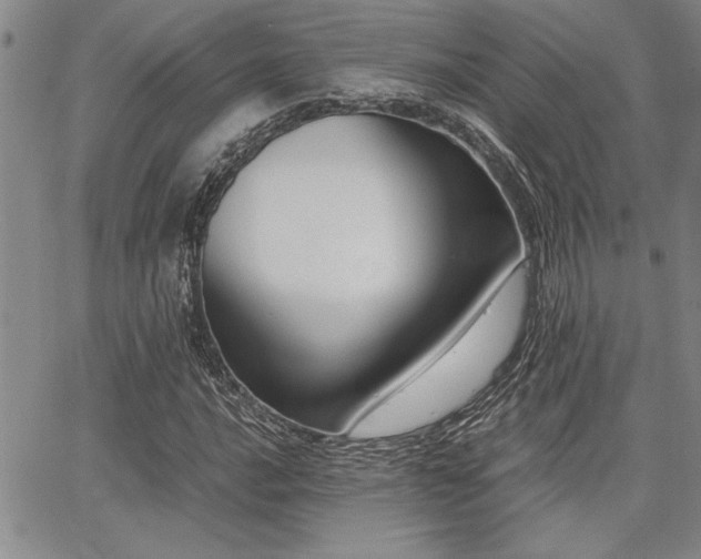 X0000068301016200604211132