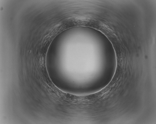 X0000068301061200604211132