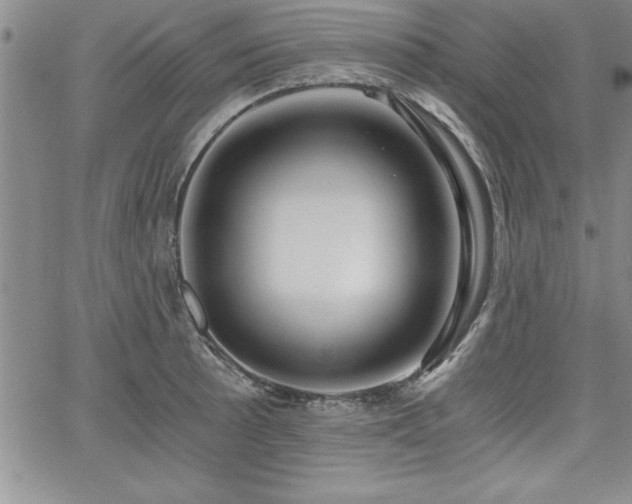 X0000068301089200604211132