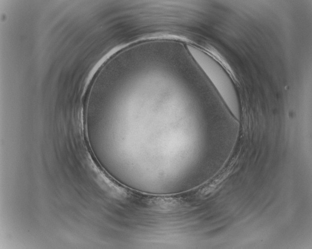 X0000068301092200604211132