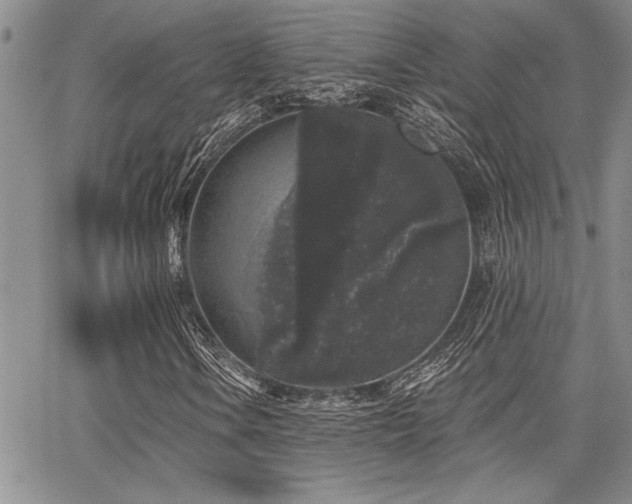 X0000068301106200604211131