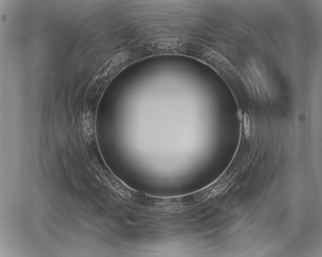 X0000068301107200604211131
