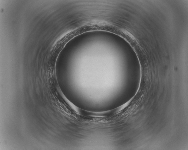X0000068301112200604211131