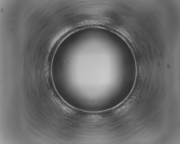 X0000068301119200604211131
