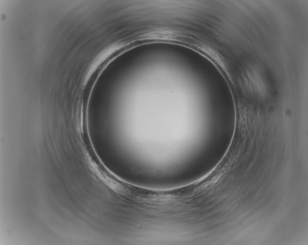 X0000068301131200604211131