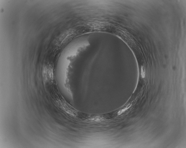 X0000068301155200604211131