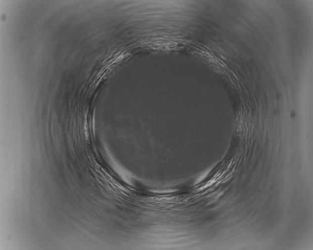 X0000068301202200604211129