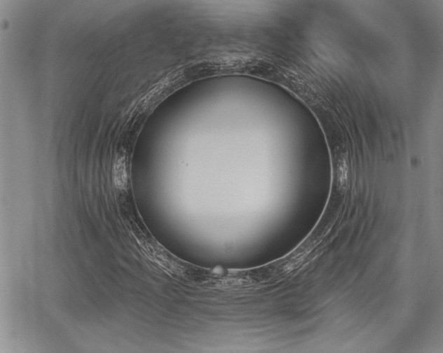 X0000068301204200604211129