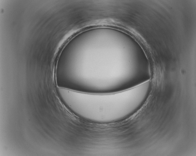 X0000068301224200604211130