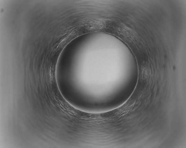 X0000068301250200604211129