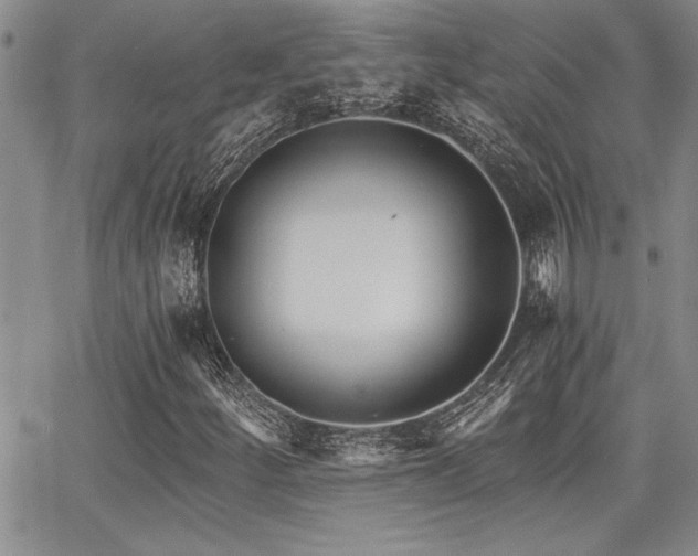 X0000068301252200604211129