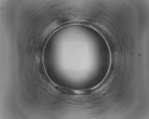 X0000068301257200604211129