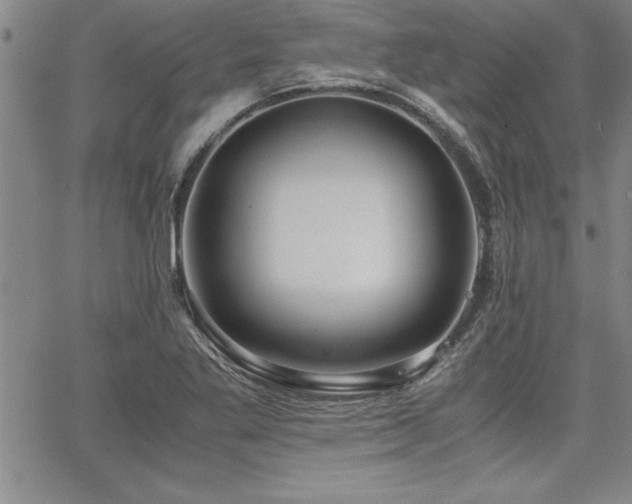 X0000068301269200604211129