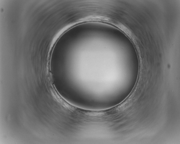 X0000068301296200604211128