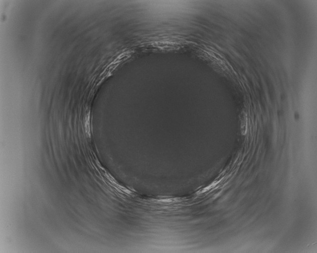 X0000068301298200604211128