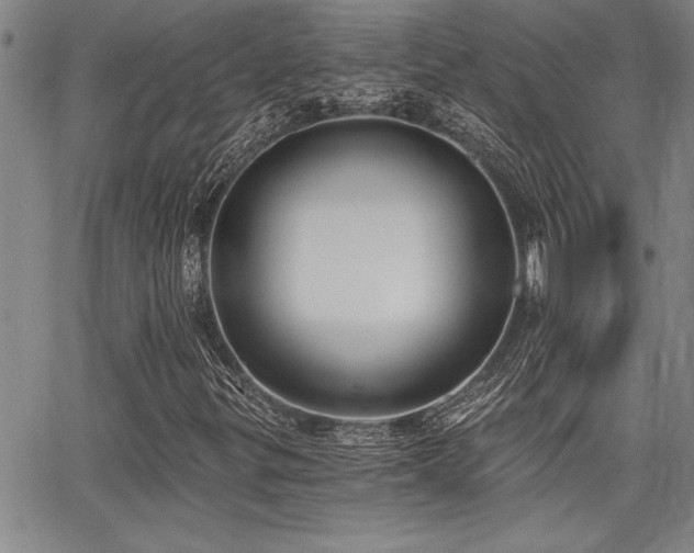 X0000068301299200604211128