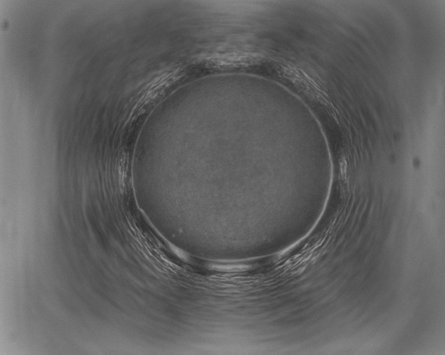 X0000068301300200604211128