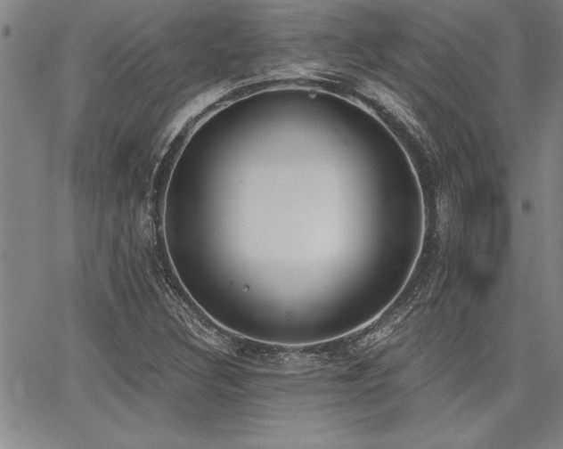 X0000068301308200604211128