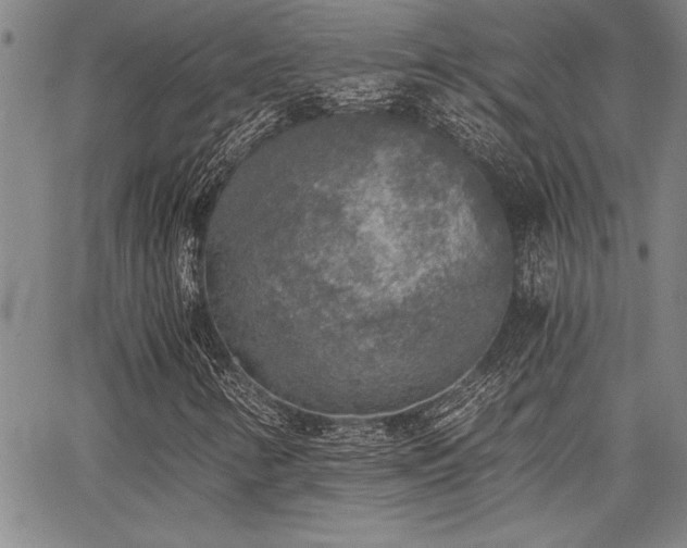 X0000068301346200604211128