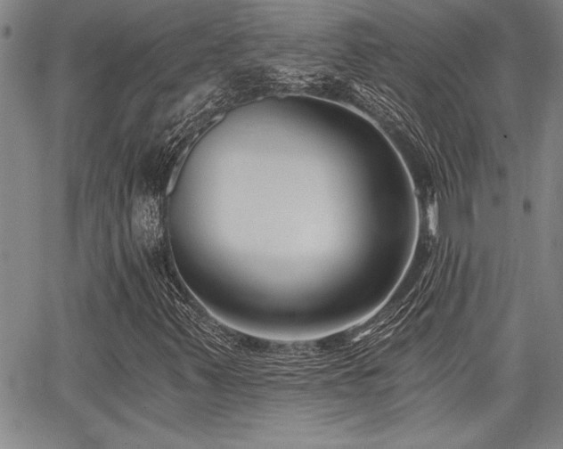 X0000068301347200604211128