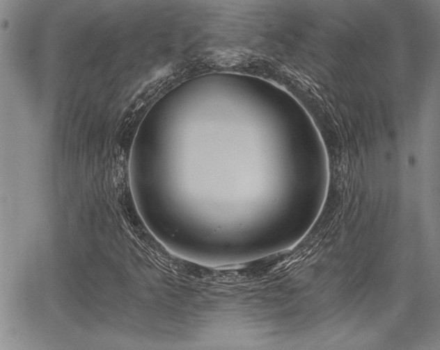X0000068301349200604211127