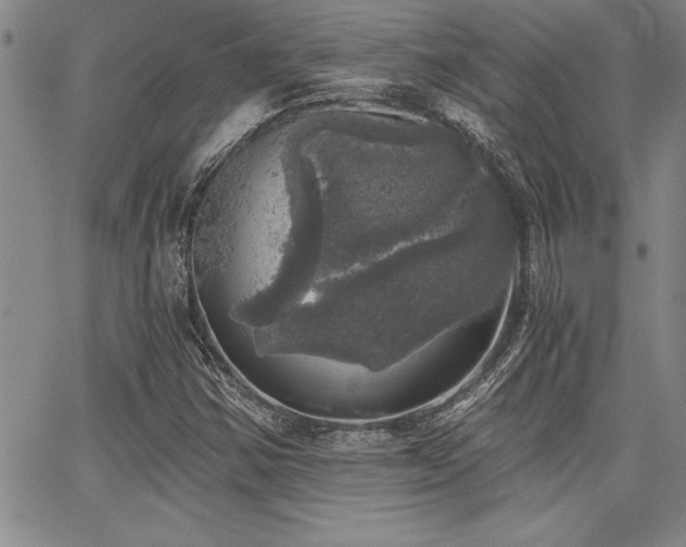 X0000068301354200604211127