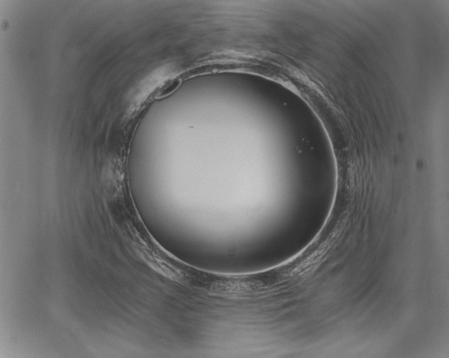 X0000068301355200604211127