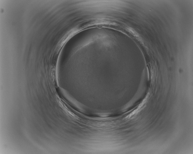 X0000068301369200604211127