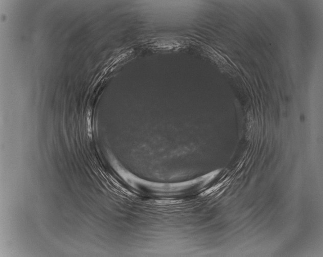 X0000068301394200604211126