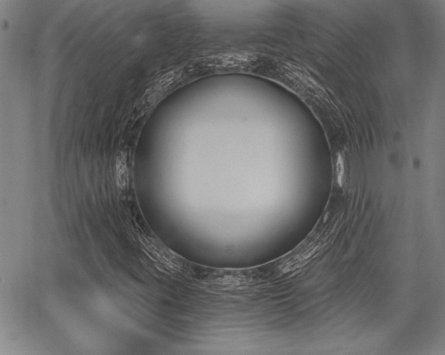 X0000068301395200604211126