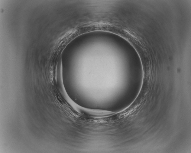 X0000068301398200604211126