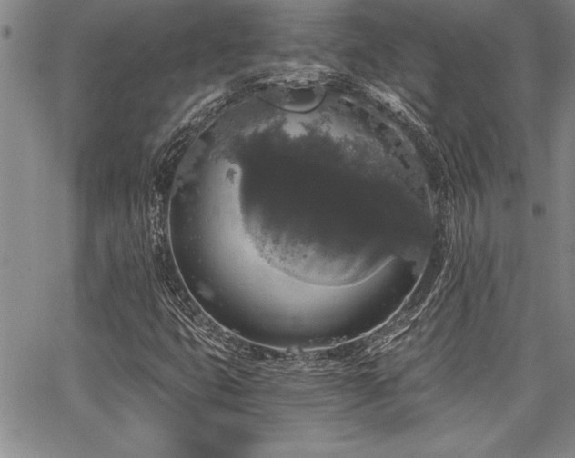 X0000068301399200604211126