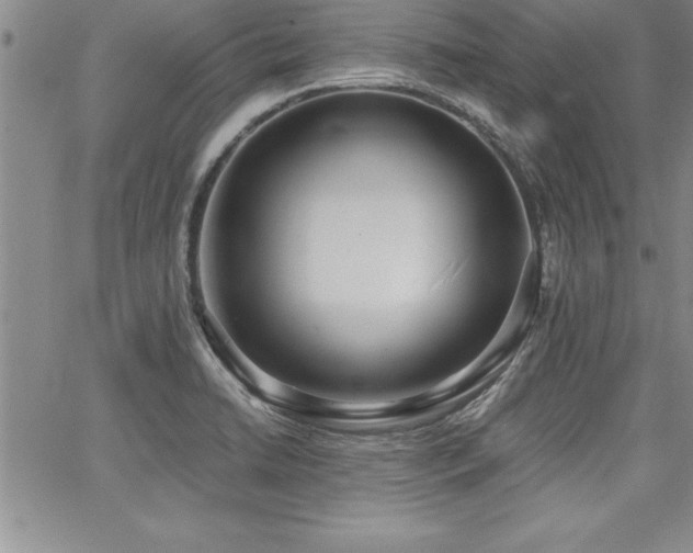 X0000068301422200604211126